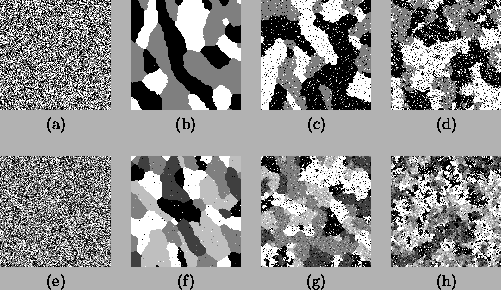 \begin{figure*}
\begin{center}
\begin{tabular}{cccc}
\psfig{file = fgm-3.ps, ...
...dth}\\ (e) & (f) & (g) & (h)
\\
\end{tabular}
\end{center}
\end{figure*}