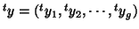 ${}^ty=({}^ty_1,{}^ty_2, \cdots, {}^ty_g) $