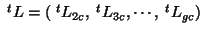 ${\;}^tL=({\;}^tL_{2c},{\;}^tL_{3c},\cdots,{\;}^tL_{gc})$