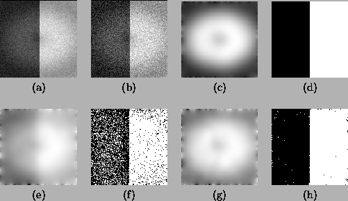 \begin{figure*}
\begin{center}
\begin{tabular}{cccc}
\psfig{file = step.ps, w...
...dth}
\\ (e) & (f) & (g) & (h)
\end{tabular}
\end{center}
\end{figure*}