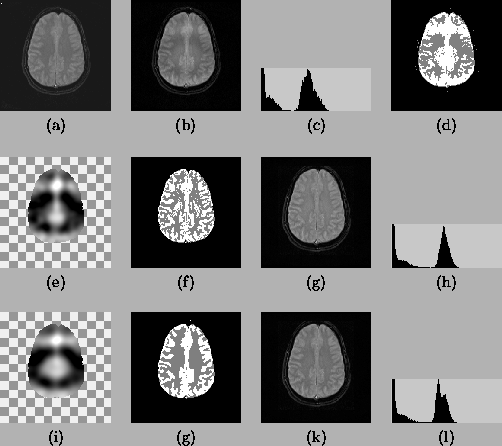 \begin{figure*}
\begin{center}
\begin{tabular}{cccc}
\psfig{file = ss-origina...
...width}
\\ (i) & (g) & (k) & (l)
\end{tabular}
\end{center}
\end{figure*}