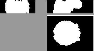 \begin{figure*}\begin{center}
\begin{tabular}{ccc}
\psfig{figure=vcormask.ps, wi...
...width=\figwidth, height=0.76\figwidth}\\
\end{tabular}\end{center}\end{figure*}