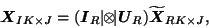 \begin{displaymath}
\mbox{\protect\boldmath$X$}_{IK\times
J}=(\mbox{\protect\bol...
...th$U$}_R)\widetilde{\mbox{\protect\boldmath$X$}}_{RK\times J},
\end{displaymath}