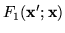 $\displaystyle F_1(\mathbf{x}';\mathbf{x})$